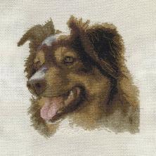 PANNA арт.J/Ж-1474 "Английский шепард" Набор для вышивания мулине 17,5*23,5см