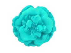 Брошь на булавке и зажиме 