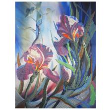 9469 "Ирисы" Рисунок на ткани "Конек" частичная вышивка 29*39см