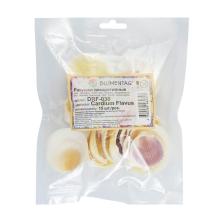 Ракушки арт.DRF-030 "Cardium Flavus" (15шт)