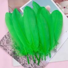 Перо гусиное 15-25см арт.ИВ-269