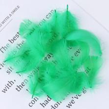 Перо гусиное 7-12см арт.ИВ-268 яркий микс-1 (100шт)