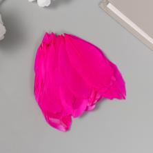 Перо гусиное  5-7см арт.9604806 фуксия (20шт)