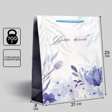 Пакет ламинат 25*21*8см 