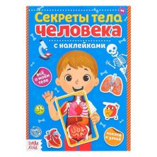 Книжка с наклейками "Секреты тела человека" 17*24см арт.4859819 (16стр)