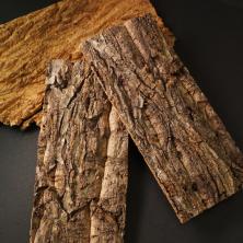 Кора дерева 