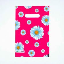 Пакет п/э с вырубной ручкой 20*30см 