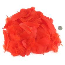 Перья арт.762/1 (8гр)