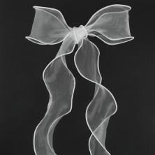 Лента органза 60мм арт.SF-7033 белый