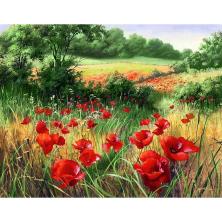 "Маковое поле" 50*40см арт.202GZ Картина стразами на подрамнике