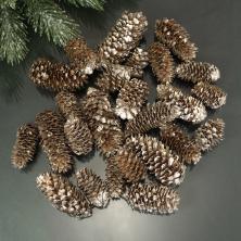 Набор шишек натуральных 3-7см арт.103358 золото хамелеон (40шт)