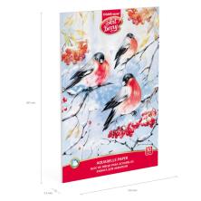 Альбом для акварели 20*28см "Снегири" арт.4095007 (10л)