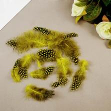 Перо фазана 5-7см арт.1250972 желтый/коричневый (10шт)