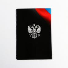 Обложка для паспорта ПВХ 95*135мм 