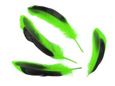 Перо гусиное 10-15см арт.ФУ-9811