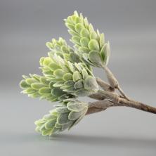 Веточка 13см "Хмель" арт.5465354 с белым напылением