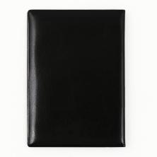 Обложка для паспорта искусст.кожа 135*95мм арт.9761365 черный