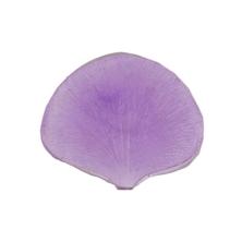 Молд пластик 01 "Универсальный" "Fiorico" 4,5*3,9см арт.FIO-M/01