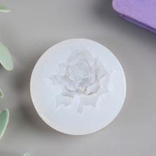 Молд силикон 