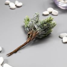 Веточка 13см "Хмель" арт.5465354 с белым напылением