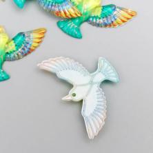 "Птица" 23*35мм арт.6884232 микс