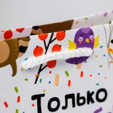 Пакет ламинат 23*18*8см 