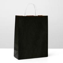 Пакет крафт 32*22*13см арт.5005869 черный