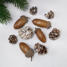 Набор Желуди/Шишки натуральные арт.ФУ-11840 (40гр)