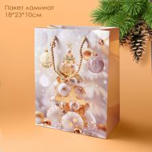 Пакет ламинат 18*23*10см 