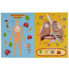 Книжка с наклейками "Тело человека" 24*32см арт.7370478 (8стр.)