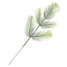 Листья на ветке 