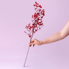 Ветка 65см "Ягоды" арт.106690 красный с белым напылением