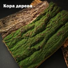 Кора дерева 
