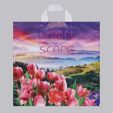 Пакет п/э с петлевой ручкой 41*37см "Просторы" 40мкм арт.5860334