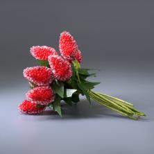 Ягоды на проволоке d- 1,3*2см 10см арт.ФУ-11677 красный