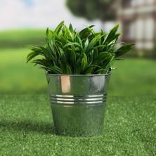 Кашпо Ведро 10,5*10,5*8см арт.3924659 алюминий