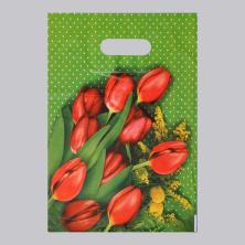 Пакет п/э с вырубной ручкой 40*30см 