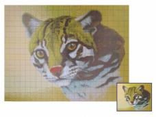 ДК-328 "Дикий кот" Схема для вышивания "Домашняя коллекция" А3 176*230кл