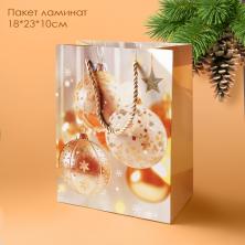 Пакет ламинат 18*23*10см 