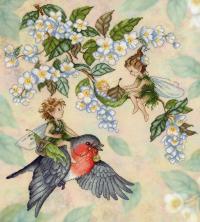 РК-520 "Эльфийская сказка" Набор для вышивания мулине на дизайнерской канве "М.П.Студия" 28*32см