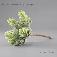 Веточка 13см "Хмель" арт.5465354 с белым напылением