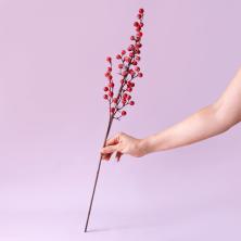 Ветка 60см "Ягоды" арт.106691 красный с белым напылением