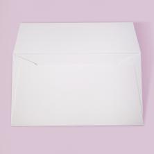 Спасибо Конверт д/денег со стикером бел.17*9см 20-05-385