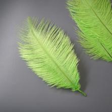 Перо страуса 15-20см арт.ИВ-435 салатовый
