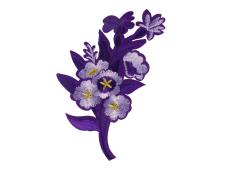 Термоаппликация 