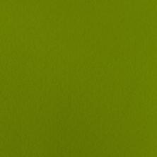Фетр 2,0мм 33*26,5см арт.FKR20