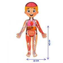 Мегапазл с обучающей книгой "Мое тело" 45*25см арт.4738871 (22 детали) (16стр) картон