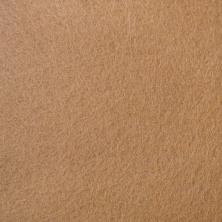 Фетр 1мм 20*30см жесткий арт.ФУ-9533 капучино