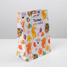 Пакет ламинат 23*18*8см 