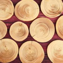 Спил дерева 4-7см h-0,35см арт.3666493 ель круг (10шт)